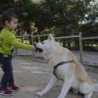 Imagen de archivo de un niño jugando con su perro en el Parc de Santa Cecília de Lleida. 