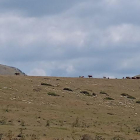 Pastos en Sorre, en el Pallars Sobirà, el pasado más de agosto.