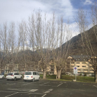 Els arbres de la zona de pàrquing de les antigues casernes.