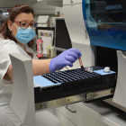 Una sanitària col·loca una mostra PCR en una màquina per saber si és positiva, ahir, a Palamós.