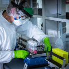 Un tècnic d’un laboratori treballa per trobar una vacuna.