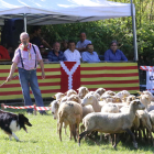 Concurso de perros pastores en Llavorsí en una imagen de archivo.