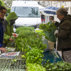 Gente comprando brotes y materiales para sus huertos ayer en el mercado de Tàrrega.