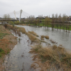 El riu Segre, al seu pas per Lleida, ahir al matí. Va registrar una punta de 83 m3/sg la nit abans.