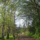 El Camí de Riupedrós, una de las rutas que se promocionarán.