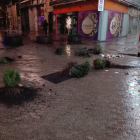 Imatges de les plantes de les jardineres arrancades i tirades per terra i escombraries al carrer Democràcia ahir de matinada.