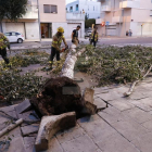 El árbol caído en Prat de la Riba ocupó dos carriles de la calle.