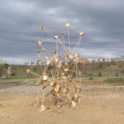 L’escultura ‘Connexions’, que ja s’ha recuperat al mirador de la Granadella.
