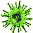 «Les seqüeles psicològiques del virus poden cronificar-se»