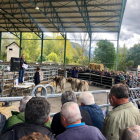 Els exemplars de vaca bruna van partir d’un preu de 650 euros en la subhasta.