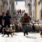 Rebaños de ovejas cruzaron ayer el centro histórico del pueblo. 