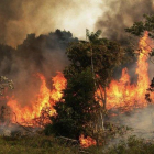 Un dels milers d’incendis actius i fora de control a l’Amazònia brasilera.
