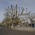 La Rambla Ferran de Lleida, sin coches, sin peatones y con los establecimientos cerrados por la alarma por el coronavirus.