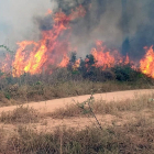 Uno de los incendios que queman la Amazonia brasileña.