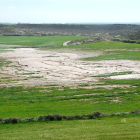 La salinización de las tierras de cultivo se ve en algunas zonas.