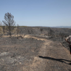 El gran incendio del Ebro  -  Un agricultor de Maials, en una finca arrasada por el gran incendio del Ebro en este municipio, donde el fuego arrasó unas 900 hectáreas de olivos y almendros el pasado verano. 