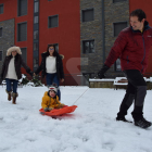 Imatges dels desperfectes del temporal Gloria a les comarques de Lleida