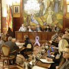 Una imagen del pleno de la Diputación de Lleida de este jueves.