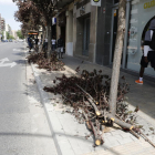 Branques d’arbres que van caure o que es van haver de tallar al carrer Balmes de Lleida.