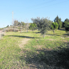 Lloc en què es preveu construir la zona de pícnic i barbacoes, darrere del turó de Gardeny.