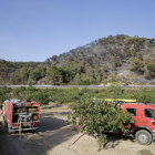 La zona de Mas de Noguers, en Maials, tras el incendio que ha calcinado 27,5 hectáreas de vegetación. 