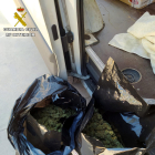 Dos de les bosses amb marihuana trobades a la furgoneta.