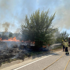 Els Bombers sufocant l’incendi que ahir va cremar 1,5 hectàrees a Sanaüja.
