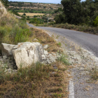 Imatge de la via forestal asfaltada entre Nalec i Vallbona.