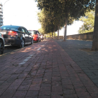 Detalle del estado del firme en un punto del carril bici de la avenida del Segre.