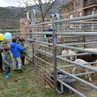 Imatge de nens visitant un dels corrals de la Fira de Sant Andreu d’Organyà.