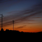 Un grupo de cigüeñas se posan sobre lo postes del tendido eléctrico.