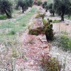 Las granizadas del sábado por la tarde afectan a 4.170 hectáreas de cultivo, principalmente en el Urgell y Les Garrigues