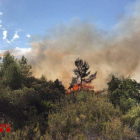 Els bombers treballen en un incendi de vegetació a L'Albagés