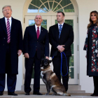 Trump condecora Conan, el gos que va ajudar a acabar amb el líder d’EI
