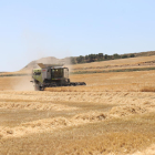 Cosechadora de cereal en un campo de Alfés, hace unos días.