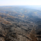 Vista aérea de zona quemada por el incendio.