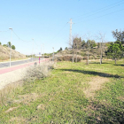 Lloc en el qual la Paeria preveu construir la zona de pícnic.