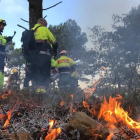 Un grupo de bomberos trabaja en la extinción de un incendio.