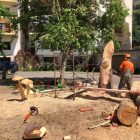 El escultor Roger Vidal trabajando uno de los árboles talados.