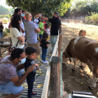 Els més petits van gaudir de prop de la naturalesa i els animals ahir a la Granja Pifarré de Lleida.