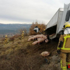 Vuelca un camión que transportaba cerdos en Isona i Conca Dellà