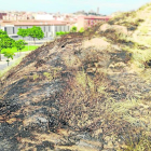 L’incendi es va produir a prop de la zona en la qual la Paeria tenia previst construir barbacoes.
