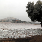 Un sembrado enharinado por la nieve en la entrada de Horta de Sant Joan este jueves.
