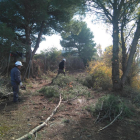 Imagen de la brigada de limpieza forestal de Almacelles.