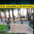 Retiren a Madrid llaços grocs que eren cintes contra les erugues