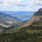 Imagen de diferentes ejemplares de quebrantahuesos de distintas edades. 