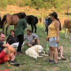 Els cavalls s’han instal·lat en camps cedits per veïns d’Arsèguel i Cava.