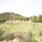 Els terrenys on es preveu construir l’abocador de Riba-roja.