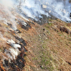 Un incendio en Les quema unas 60 hectáreas de matorral, sotobosque y pastos