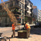 Los operarios cortaron ayer con una sierra varios árboles de las jardineras.